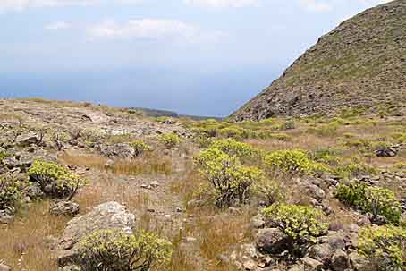 Im Süden bei Alajero