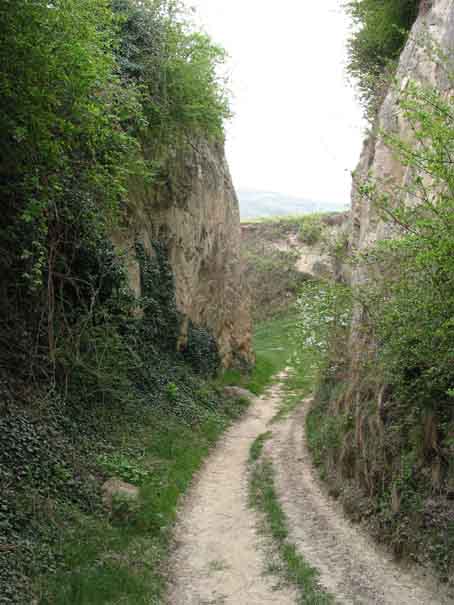 Hohlweg bei Bickensohl