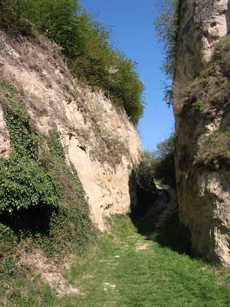 Hohlweg bei Bickensohl