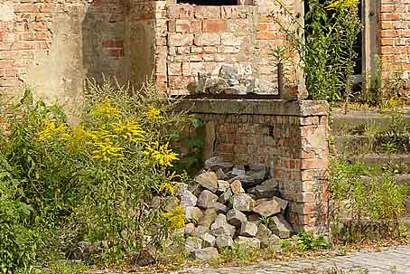 Mauereidechsen-Habitat in maroder Bausubstanz